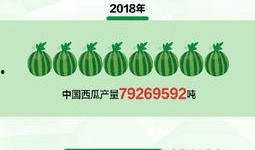 社会热点ppt 吃瓜群众在线爆料免费观看,吃瓜群众在线爆料，免费观看精彩瞬间